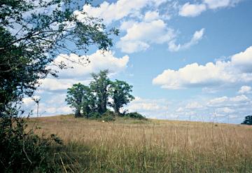 Pottersville Landscape.jpg